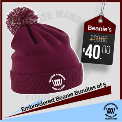 Beanie Bundle x 5 Thumbnail